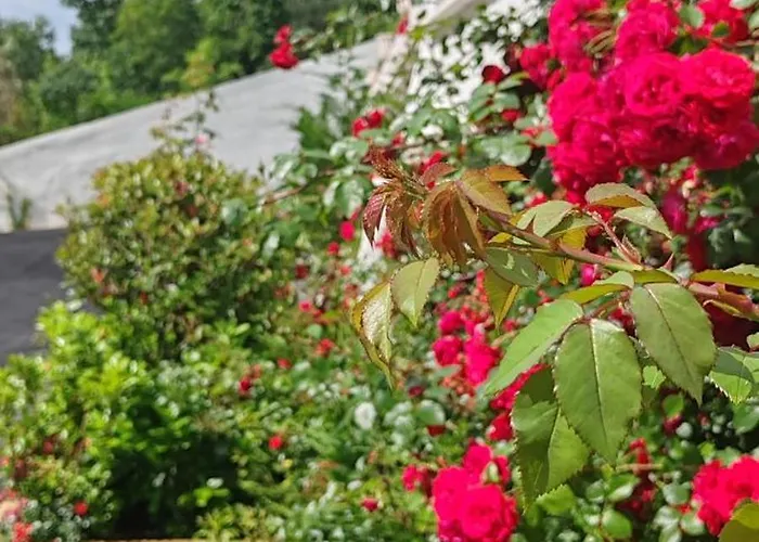 Apartahotel Sea Point La 4*